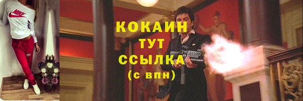 гидропоника Абаза