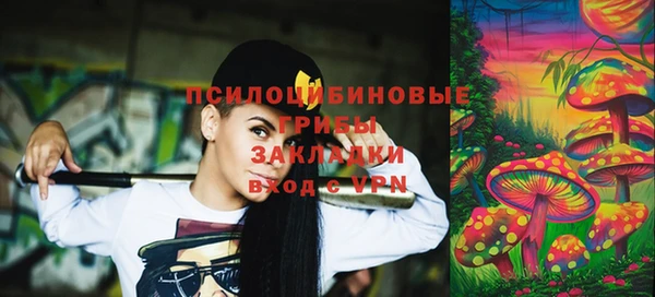 гидропоника Абаза