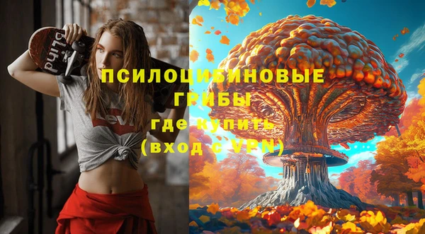 стафф Абинск