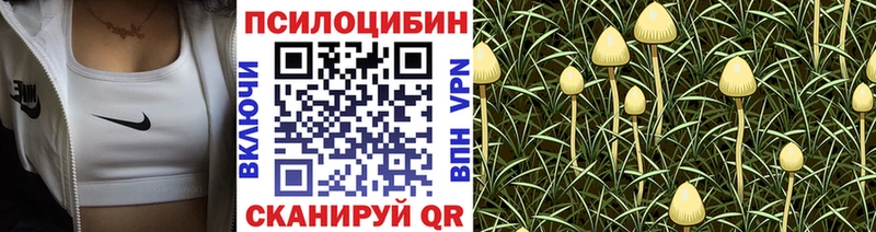 Псилоцибиновые грибы GOLDEN TEACHER  наркотики  Лангепас 